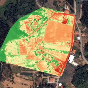 Monitoramento de safra