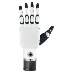 H1-2 3rd Party Hands