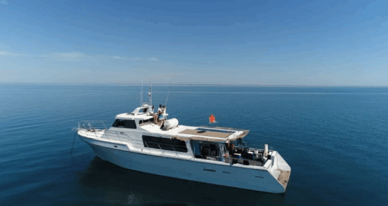 5.investigación 5.investigación